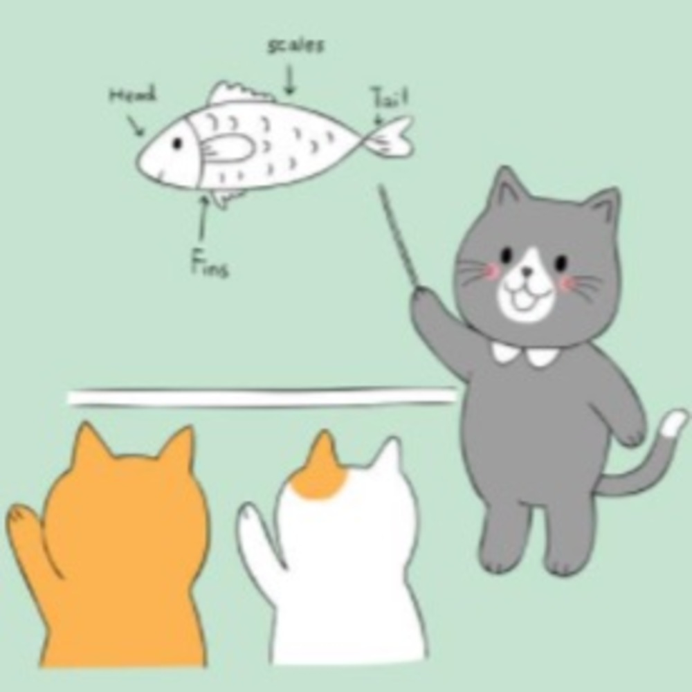 Meet your Posher, Evelyn